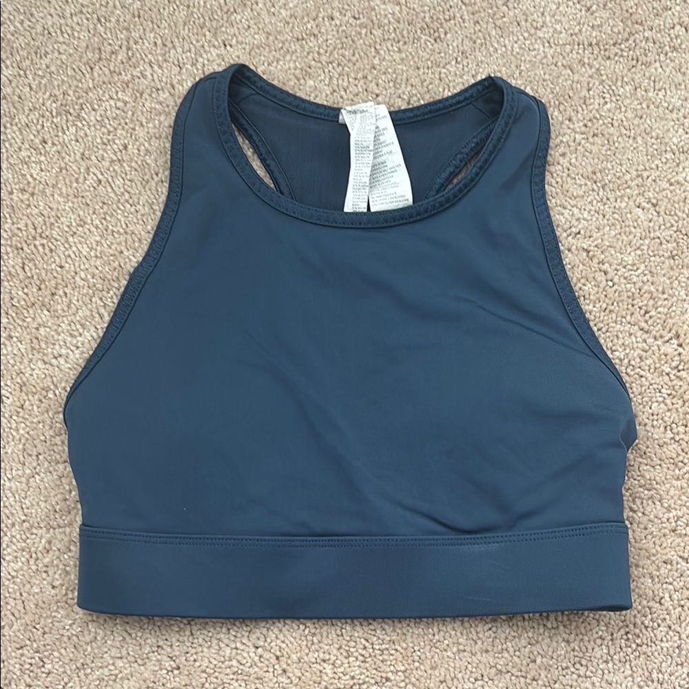 Fabletics Blue Sports Bra